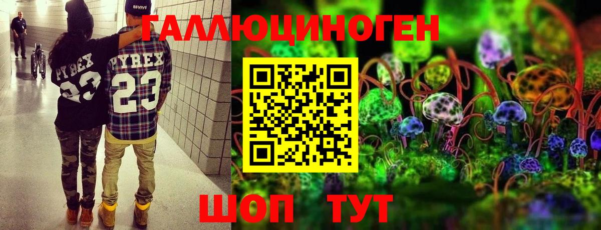 Галлюциногенные грибы GOLDEN TEACHER  Вход с VPN  где найти   Бутурлиновка 